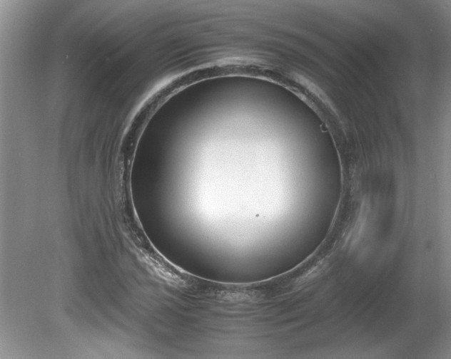 X0000081571021200701221047