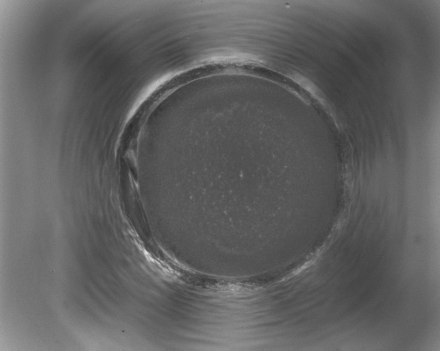 X0000081571022200701221047