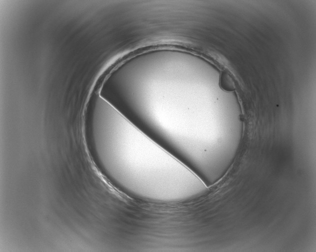 X0000081571024200701221047