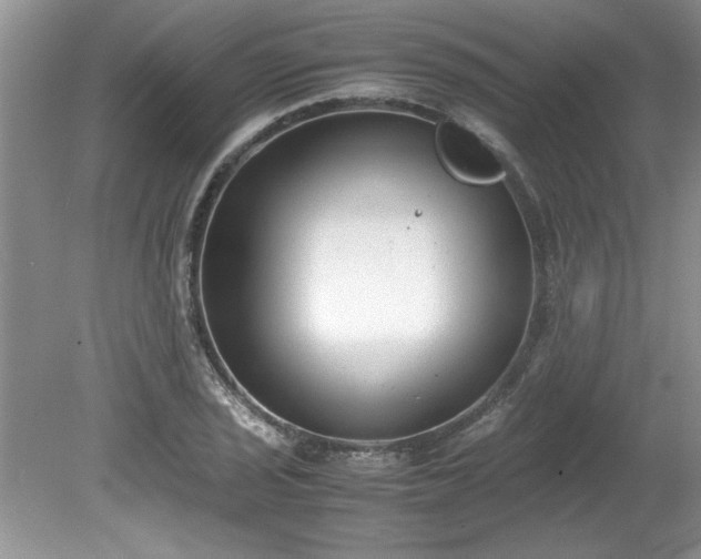 X0000081571029200701221047