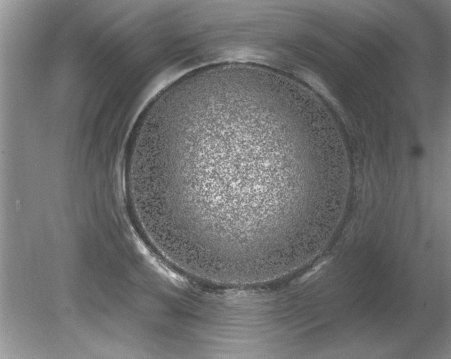 X0000081571032200701221047