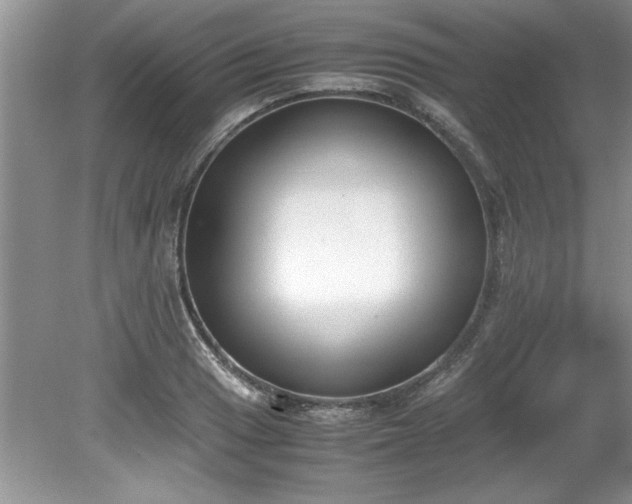 X0000081571033200701221047