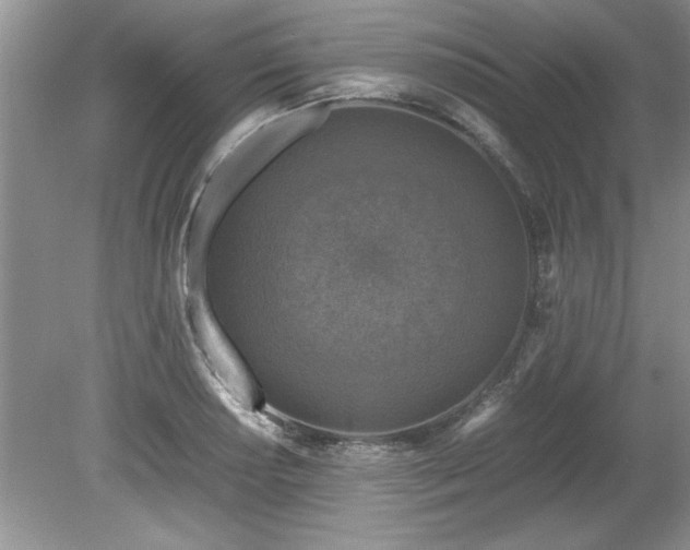 X0000081571034200701221047