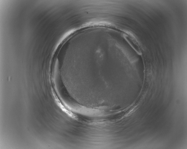 X0000081571038200701221047