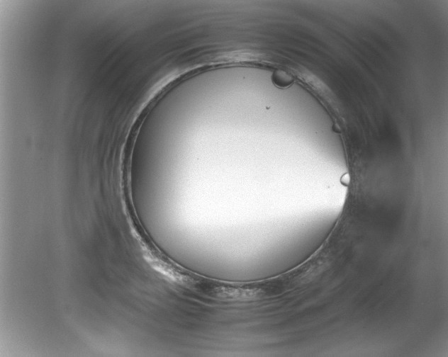 X0000081571039200701221047