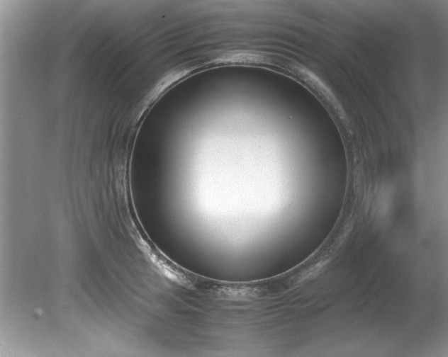 X0000081571041200701221047