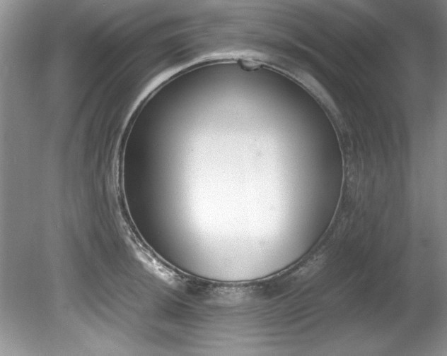 X0000081571044200701221048