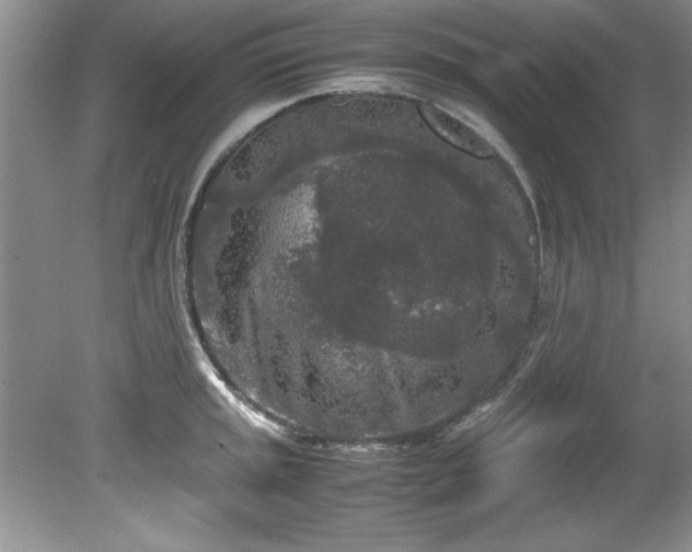 X0000081571045200701221048