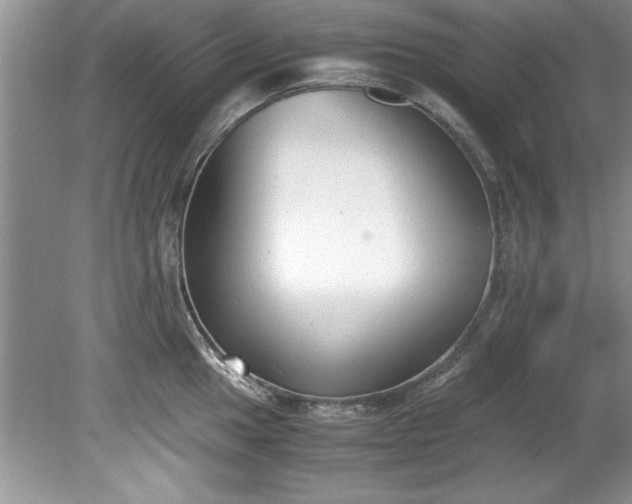 X0000081571049200701221048