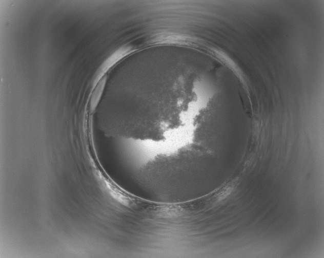 X0000081571050200701221048