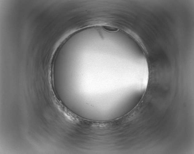 X0000081571051200701221048