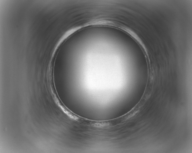 X0000081571053200701221048