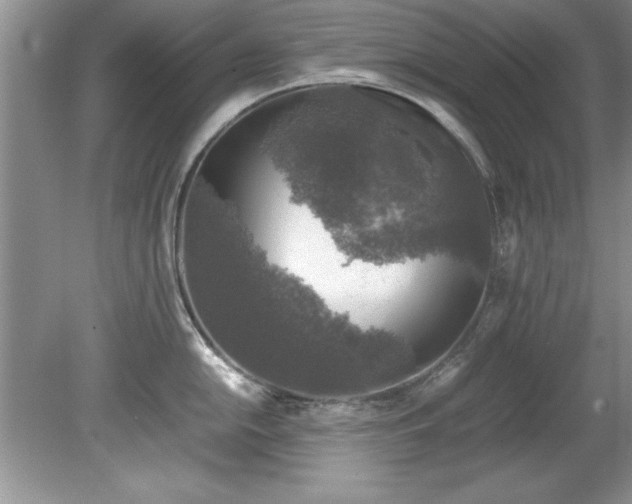 X0000081571054200701221048