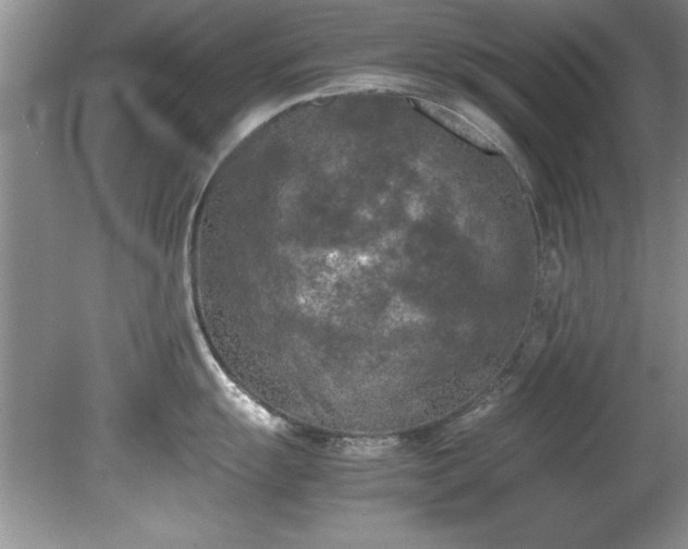 X0000081571055200701221048