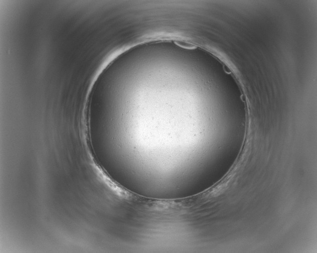 X0000081571056200701221048