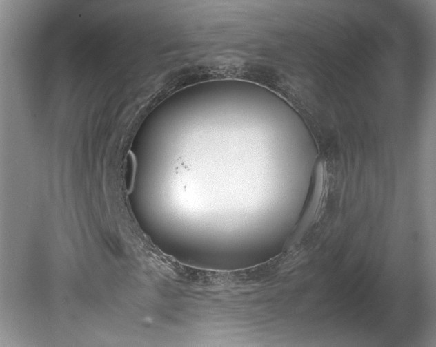 X0000081571057200701221047