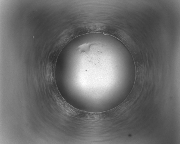 X0000081571058200701221047