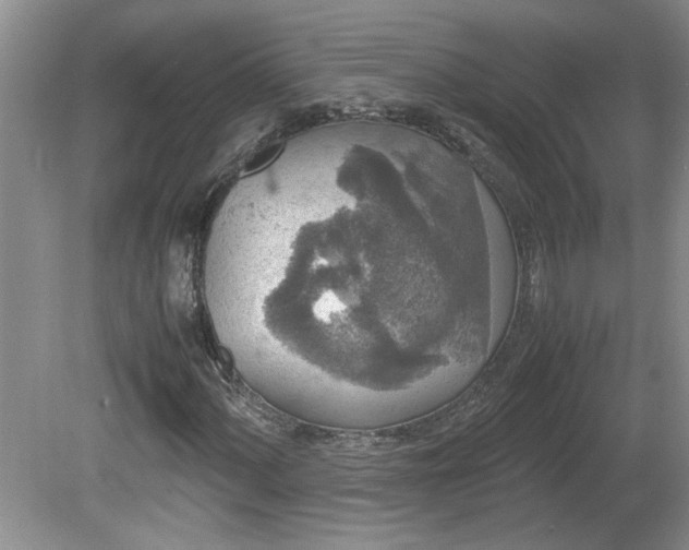 X0000081571060200701221047