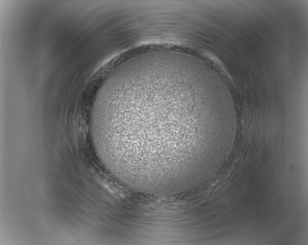 X0000081571064200701221047