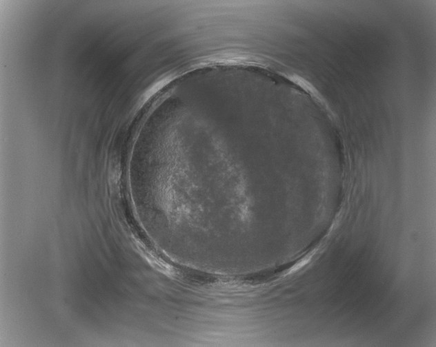 X0000081571065200701221047