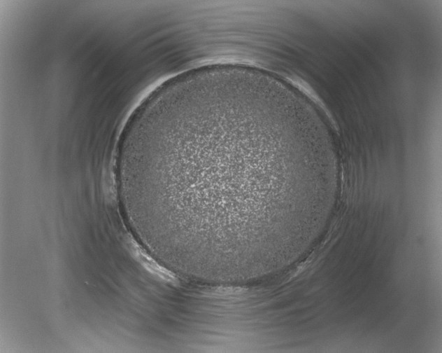 X0000081571068200701221047