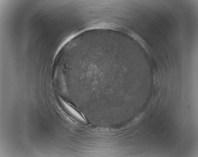 X0000081571069200701221047