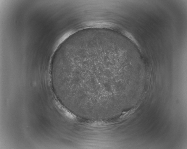 X0000081571071200701221047