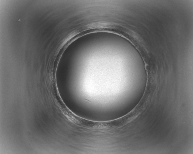 X0000081571073200701221047