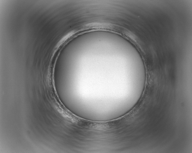 X0000081571074200701221047