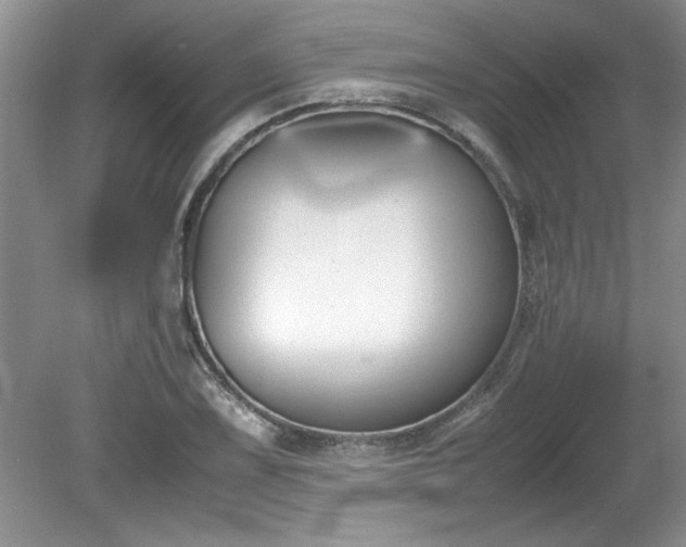 X0000081571075200701221047