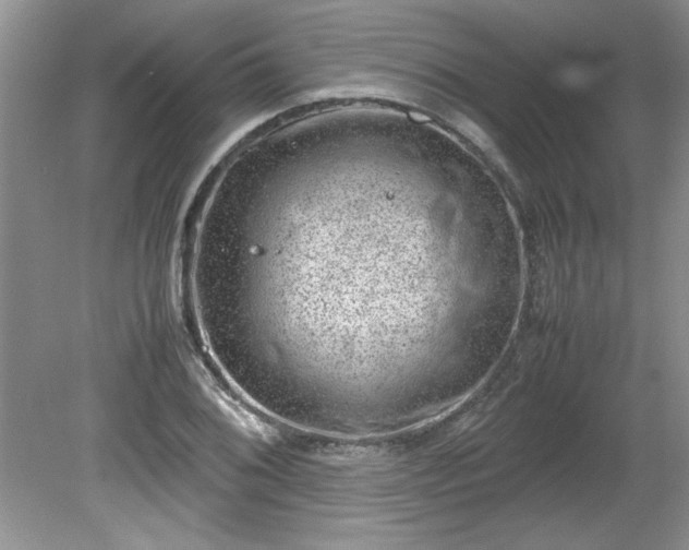 X0000081571076200701221047