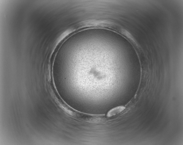 X0000081571079200701221047