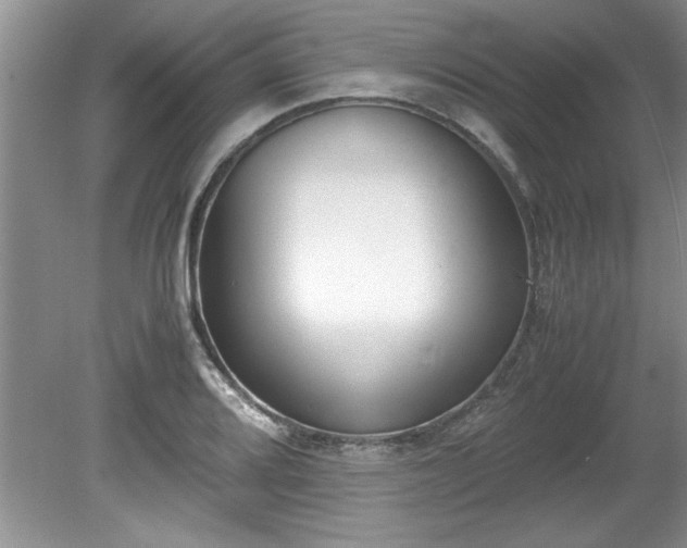 X0000081571080200701221047