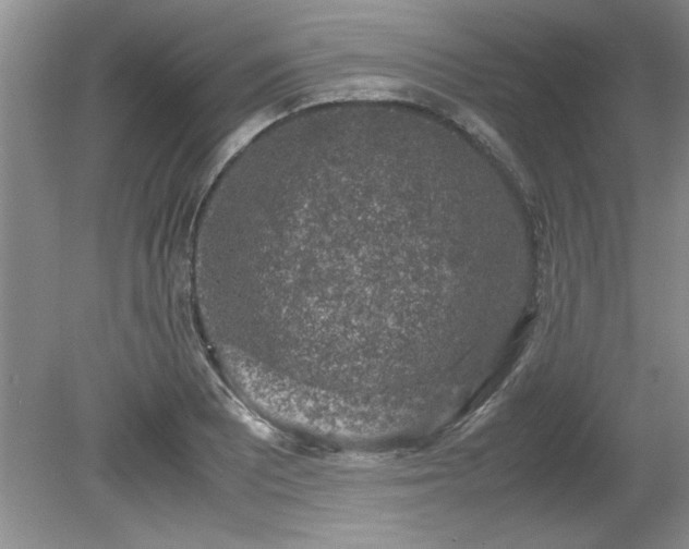 X0000081571081200701221047