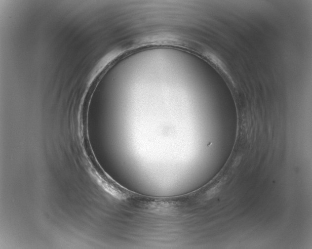 X0000081571082200701221046