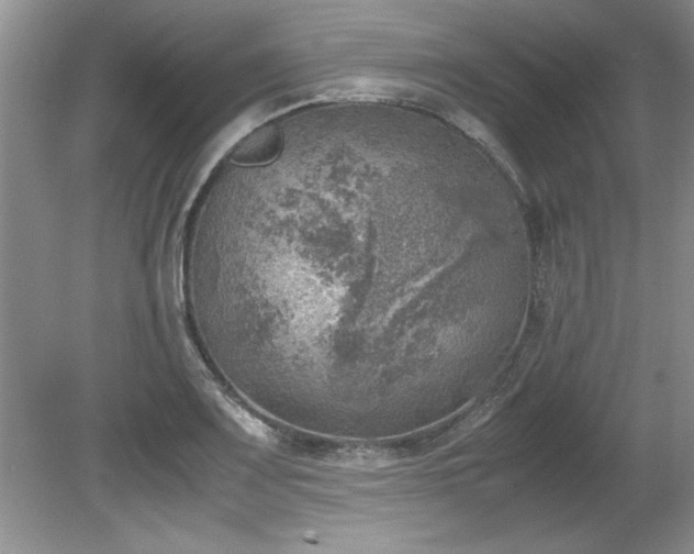 X0000081571083200701221046