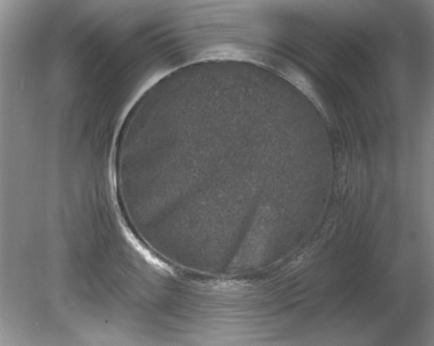 X0000081571084200701221046