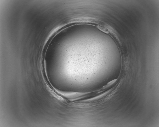 X0000081571085200701221046