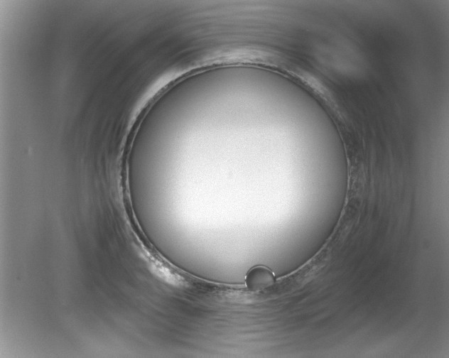 X0000081571086200701221046