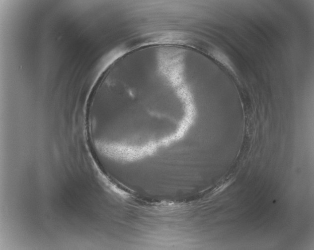 X0000081571087200701221046