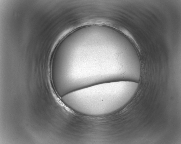 X0000081571088200701221046