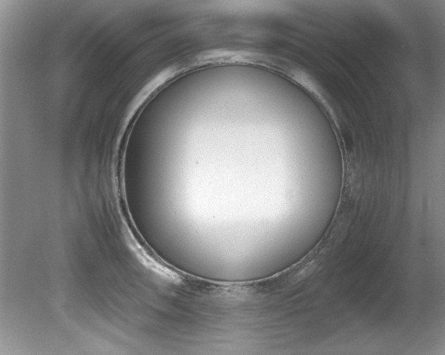 X0000081571090200701221046