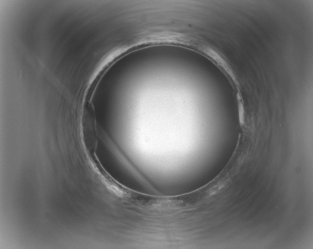 X0000081571093200701221046