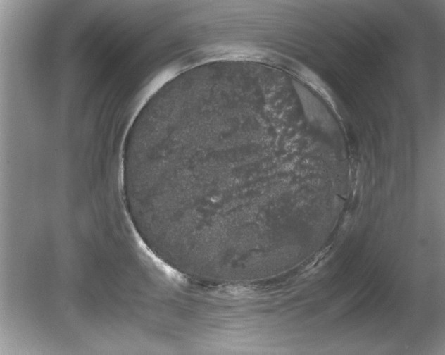 X0000081571095200701221046