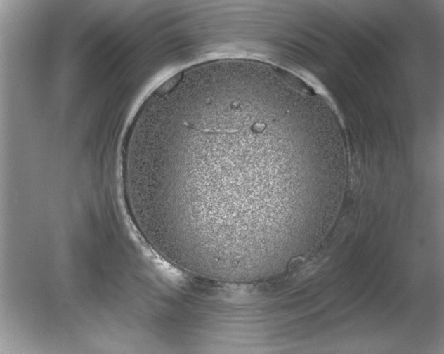 X0000081571096200701221046