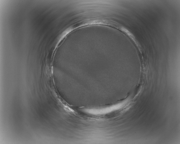 X0000081571097200701221046