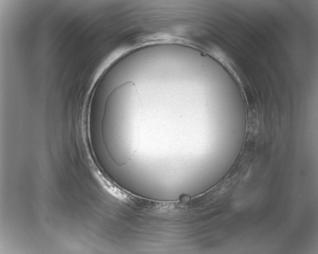 X0000081571098200701221046