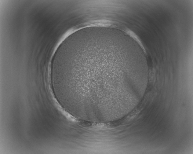 X0000081571099200701221046