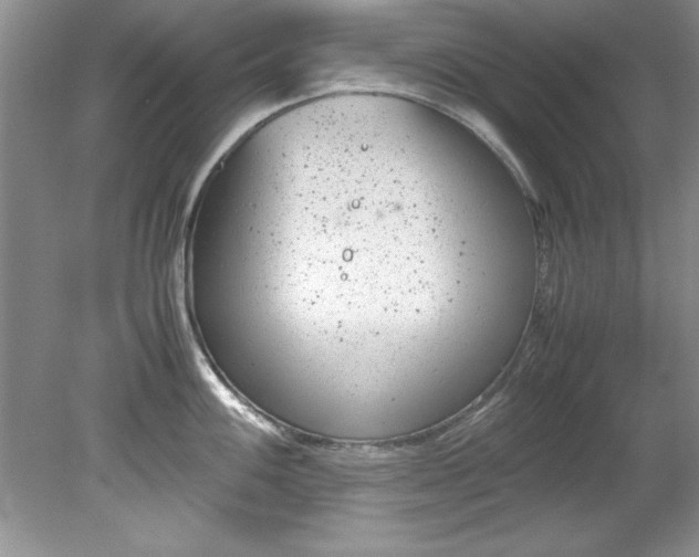 X0000081571100200701221046