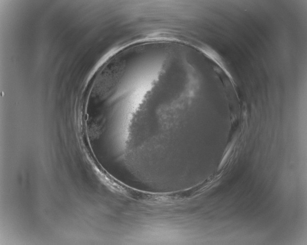 X0000081571101200701221046